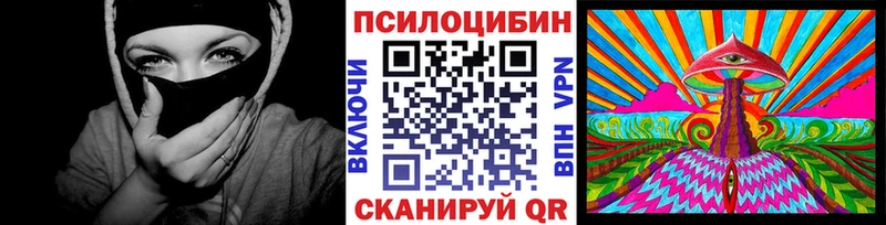 сколько стоит  Богородицк  Псилоцибиновые грибы мицелий 