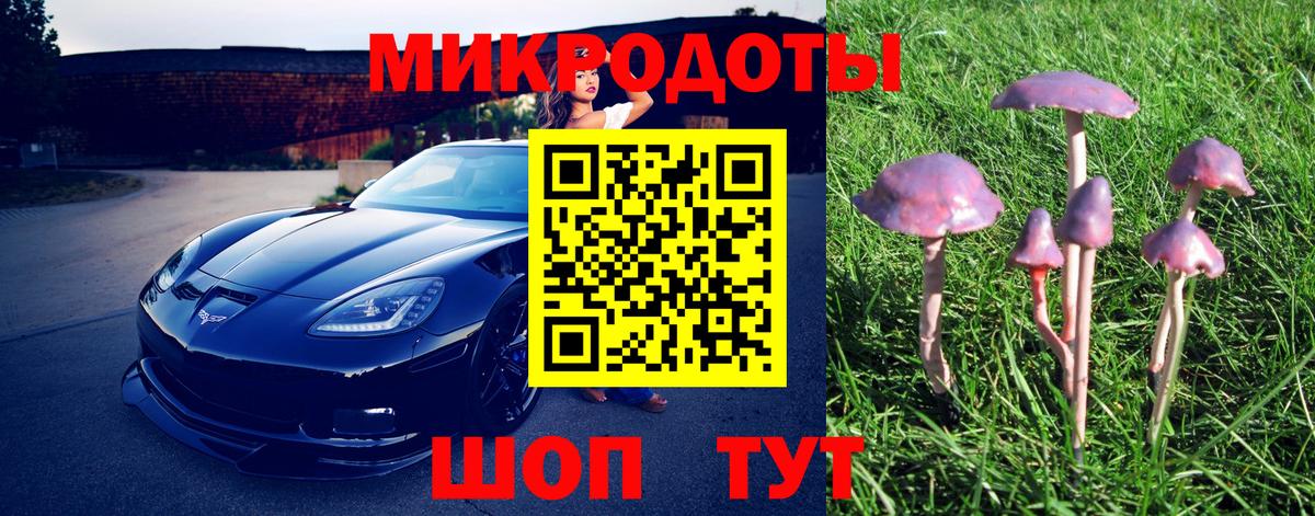 Псилоцибиновые грибы Magic Shrooms Богородицк