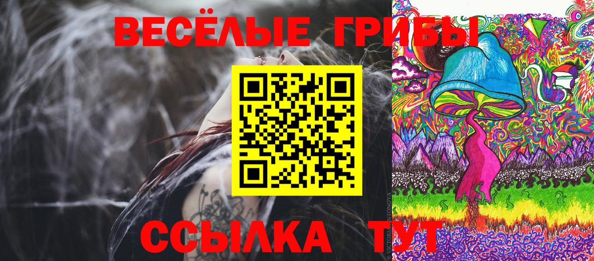 Богородицк  Галлюциногенные грибы Cubensis  закладка  Вход с VPN 