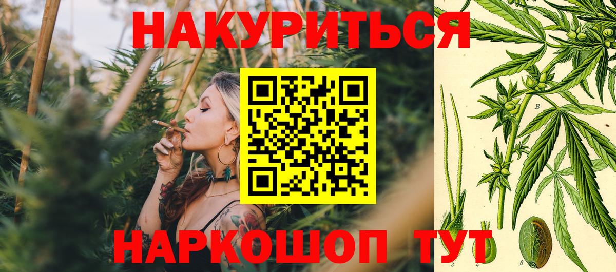 Конопля ГИДРОПОН Богородицк